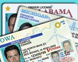 Enhanced Driver License proves US citizenship and can be used for travel and REAL ID purposes